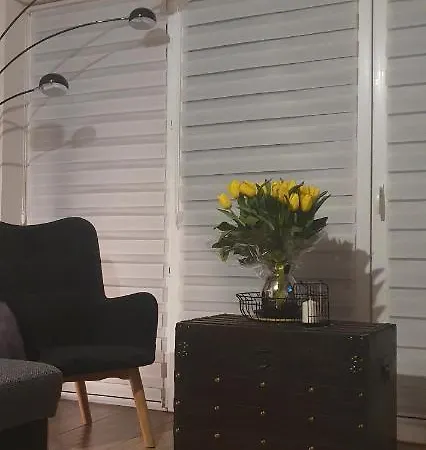 Апартаменты Bartnicza A *